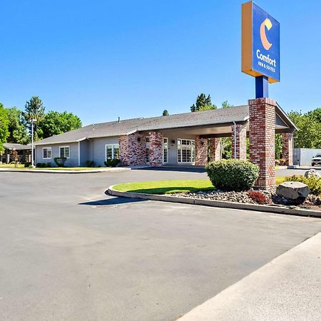 Comfort Inn & Suites Susanville Kültér fotó